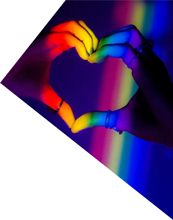 About us VGS Our equipment Picture on the right